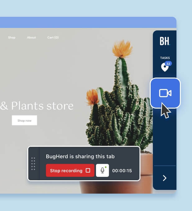 video feedback with bugherd